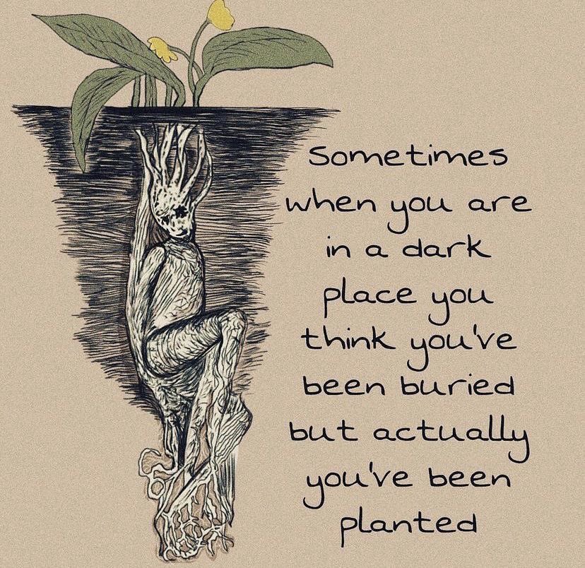 Keep going, keep growing 🫶🏼🌱
