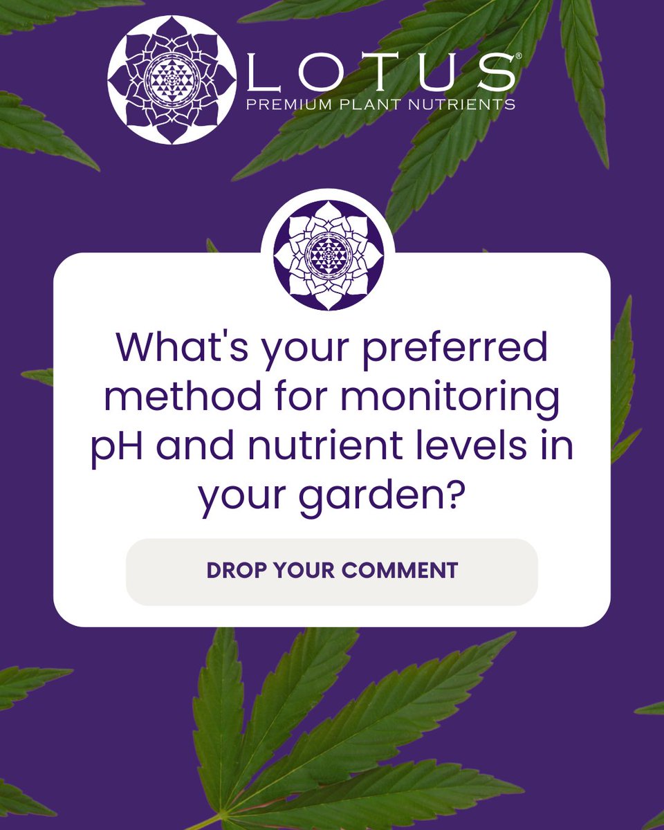 What's your preferred method for monitoring pH and nutrient levels in your garden? Let's exchange tips and tools for maintaining the perfect balance! 🧪🌿 🪴 Grow with Lotus today: bit.ly/LOTUS4U ___________________________⁠ #lotusnutrients #growstrongindustries