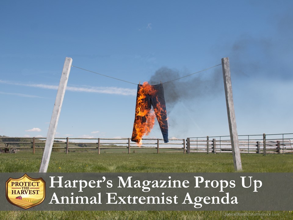 Harper's Magazine props up animal extremism.
#animalextremism #animalwelfare #animalwelfarenotanimalextremism #media #mediabias #HarpersMagazine
protecttheharvest.com/news/harpers-m…