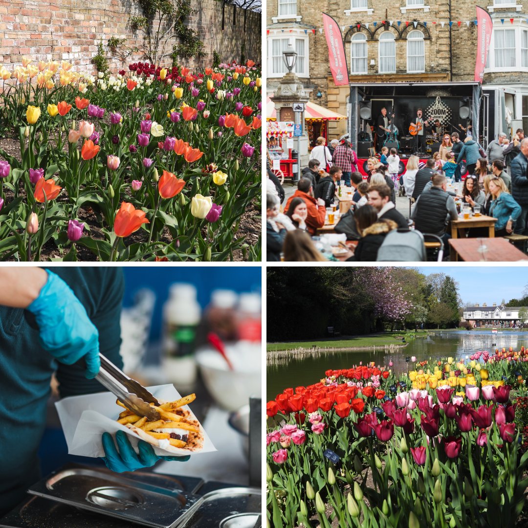Ready for a blooming good time this weekend in Pocklington? @BurnbyGardens Tulip Festival begins on Saturday with over 18,000 colourful blooms on show loom.ly/Uw2vp38 It's also Pocklington Food Festival - a celebration of local food and drink loom.ly/DoONEAU