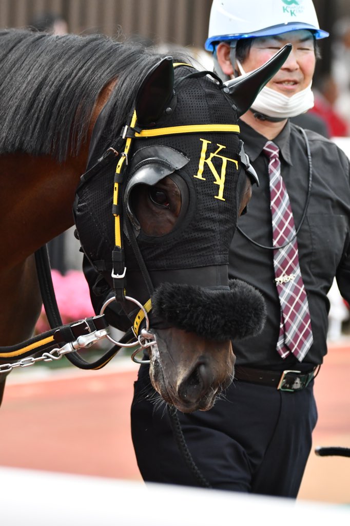 2024.4.18 10R 雛芥子特別 #ヘルシェイク #矢野貴之 騎手 #高月賢一