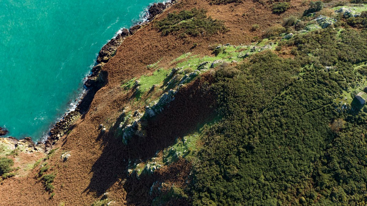 It's #InternationalMotherEarthDay. To discover more about #JerseyCI’s incredible wildlife and nature, explore the FREE Aspiring Jersey Island Geopark Visitor Centre at #JerseyMuseum. Go to jerseyislandgeopark.org.je to find out more about the @jerseygeopark project #OurIslandStory