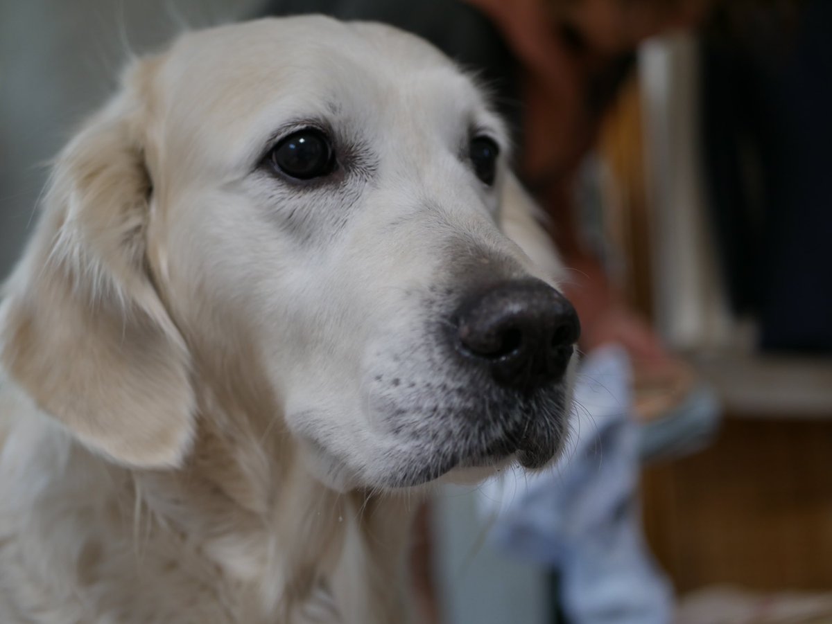 GRミルト tweet media