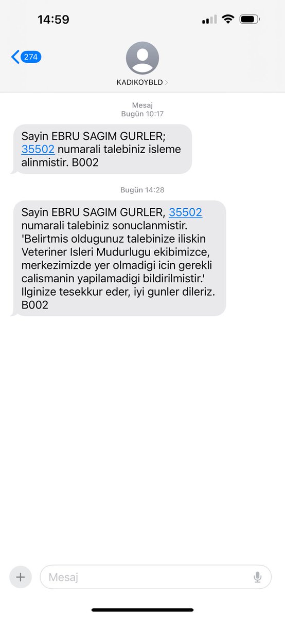 fındık kedisi tweet media