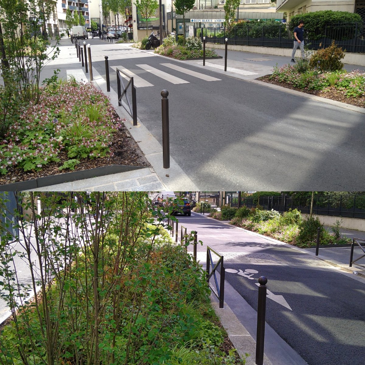 In Paris what once were spaces occupied by cars have now been liberated for people & plants...