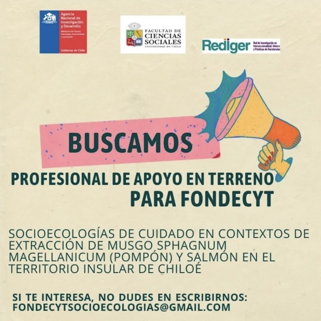 Núcleo J Kirkwood tweet media