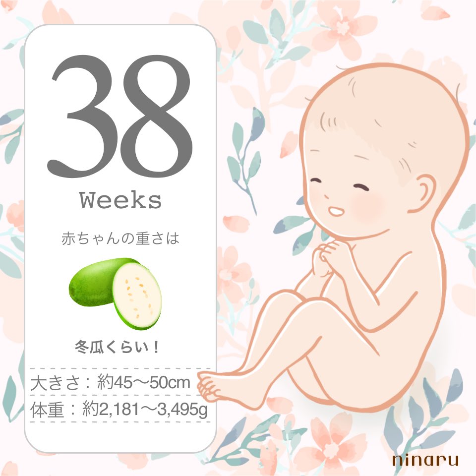 disney_rapun's tweet photo. 明日はいよいよ計画分娩の日！
最後の外来受診も問題なく、初産とは思えないほど順調だそうです✨
10ヶ月間本当にいい子に育ってくれて快適で最高なマタニティライフを送れました❤️
出産はドキドキだけど、赤ちゃんのために頑張ります💪

#38週
#計画無痛分娩 https://t.co/EgnLRf8K9B