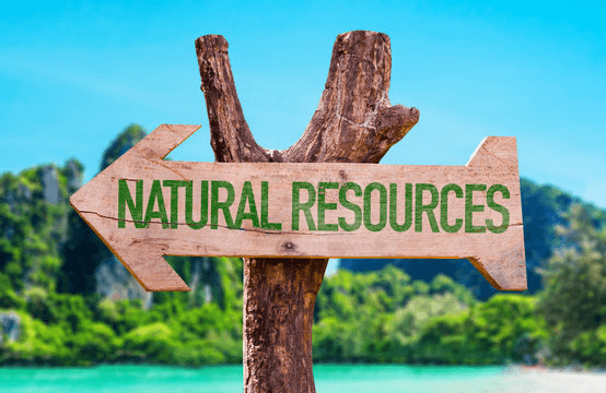 🌿💧 Embracing the beauty of our planet starts with preserving its precious resources. From forests to oceans, every drop of water and every leaf is a gift we must protect. Join us in the journey of conservation, ensuring a sustainable future for all. #NaturalResources