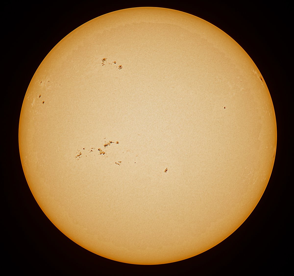 Sun today 18042024 White light safety filter to show photosphere. Maybe some artefacts around AR3639 and 43. Some white showing up. #sun #sunhour #solar #sumspots #astrophotography #astronomy #space #stormhour #thephotohour