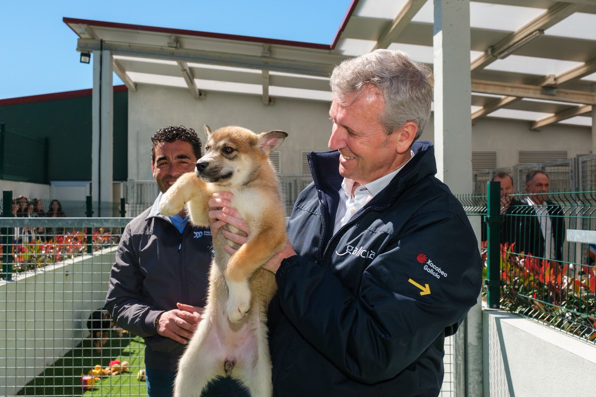 AlfonsoRuedaGal's tweet photo. Hai alguén que non quede marabillado con estes canciños?😍

Que gusto a visita ao centro de acollida de animais da @depo_es. Se queredes ter un amigo para sempre, anímovos a que adoptedes. A partir de maio, desde a @Xunta daremos ata 150 € para os primeiros gastos do veterinario https://t.co/lUrX5PEqCK