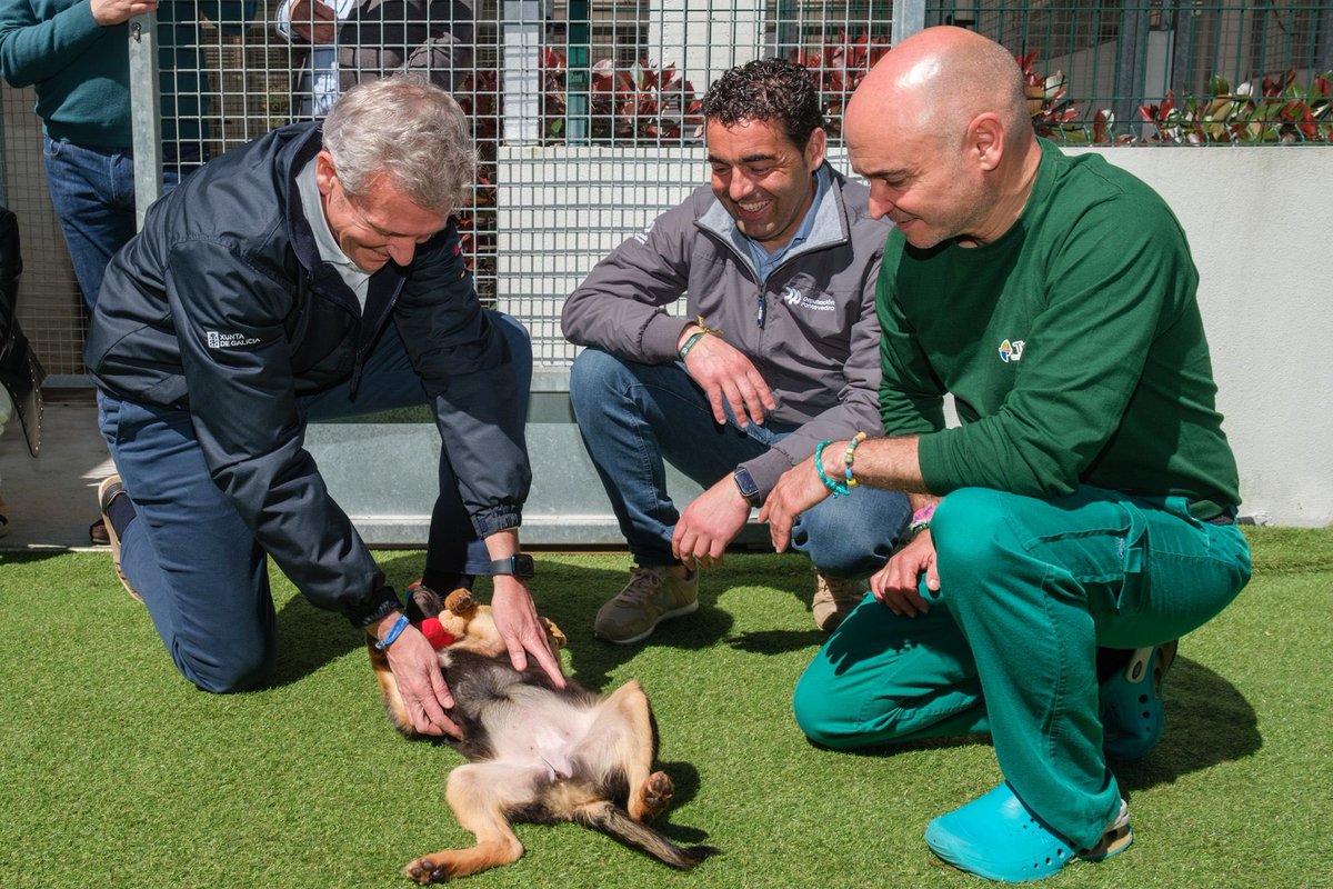 AlfonsoRuedaGal's tweet photo. Hai alguén que non quede marabillado con estes canciños?😍

Que gusto a visita ao centro de acollida de animais da @depo_es. Se queredes ter un amigo para sempre, anímovos a que adoptedes. A partir de maio, desde a @Xunta daremos ata 150 € para os primeiros gastos do veterinario https://t.co/lUrX5PEqCK