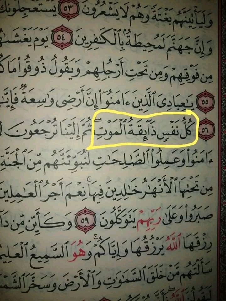 1khaby's tweet image. Vous ne regretterez jamais de retweeter ceci 😭❤