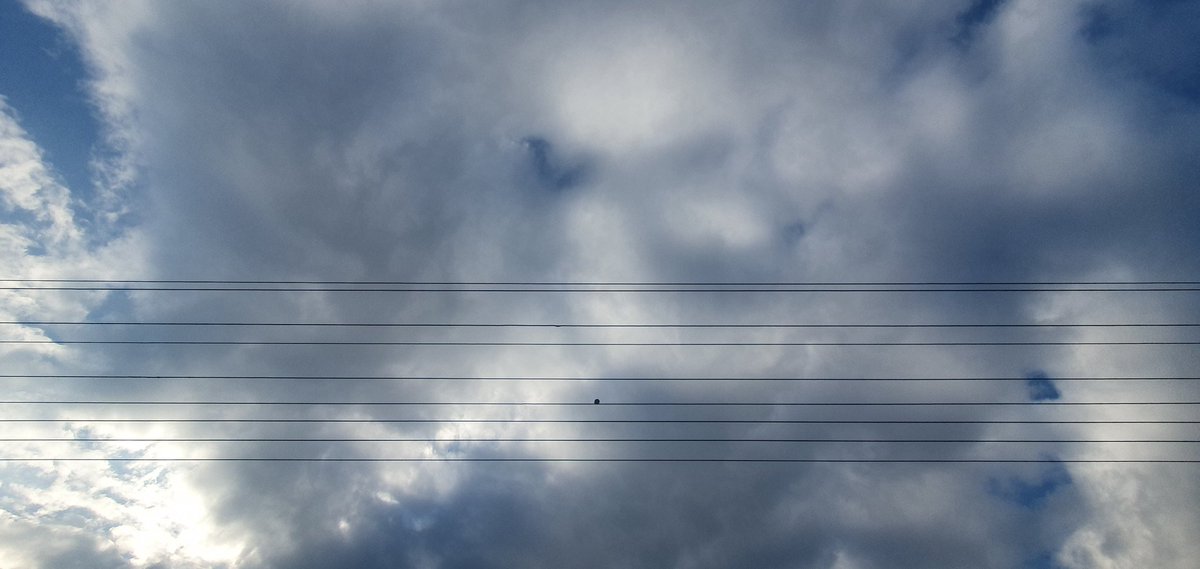 In the morning, a lone bird graces the sky with its presence, embodying the essence of simplicity and freedom in its solitary flight.