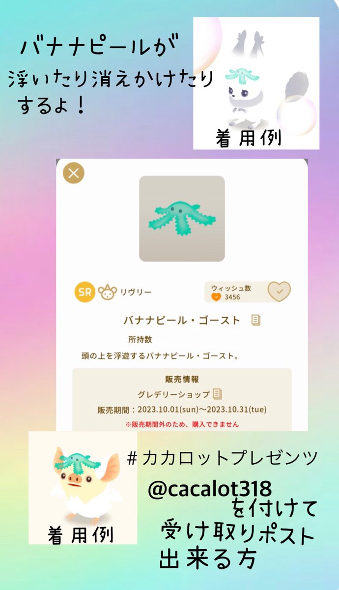 バレンタインプレゼントに❣️限定25個HelleboreBoxELLIOTHALL バレンタインプレゼントに❣️限定25個HelleboreBoxELLIOTHALL