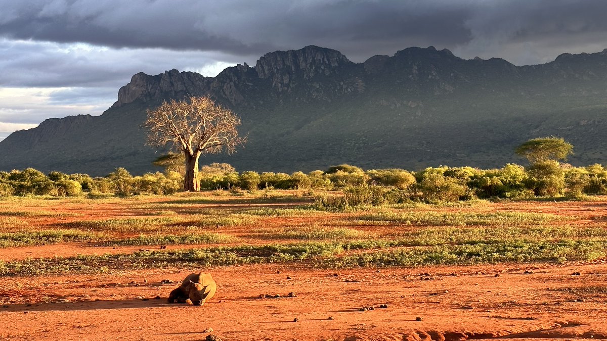 One of the most amazing experiences we offer, is a night out on a platform in the Ngulia Rhino Sanctuary. You will see rhinos, buffaloes, elephants and so many other species, coming to enjoy the waterhole. Super special!