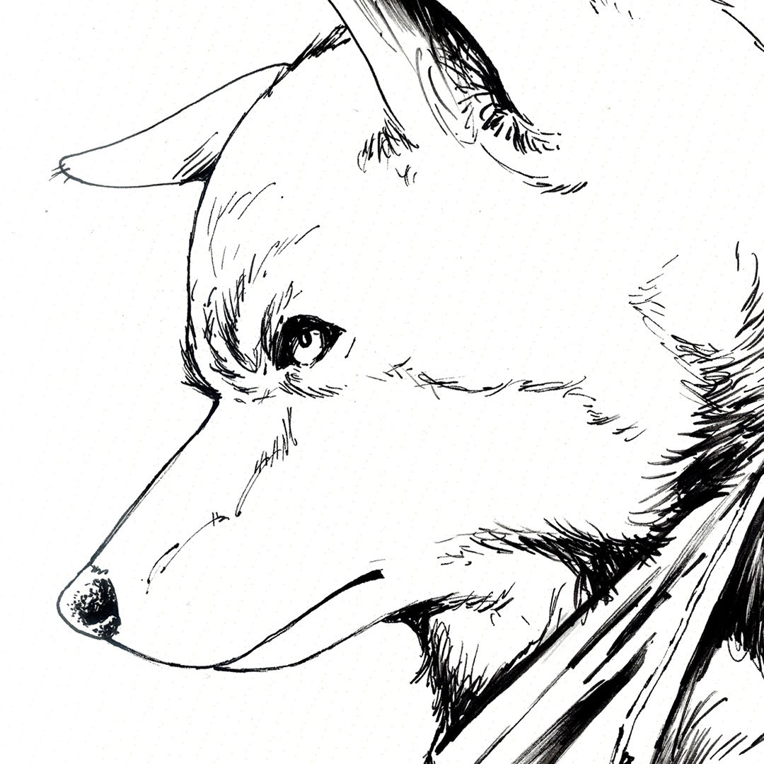 Adam Fields knocked it out of the park with this sketch cover of Rok! It looks like this was just claimed, but there’s still more original art available on our Kickstarter. 

kickstarter.com/projects/leexo…

#thewyldcomic #kickstarter