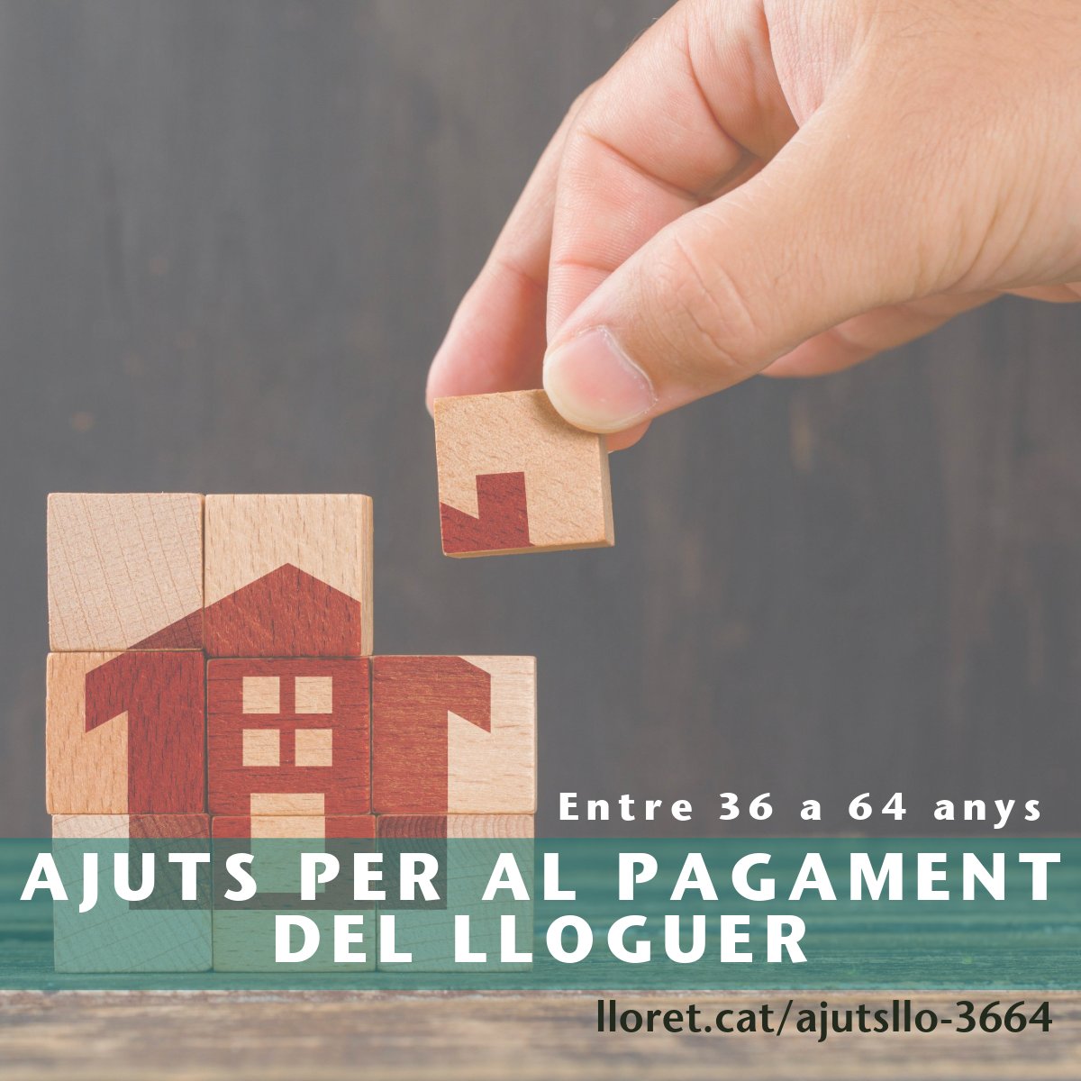 🏠 Oberta la subvenció per al pagament del lloguer a prsones entre 36 a 64 anys

📆 Fins al 10 de maig
💻 habitatge.gencat.cat
💻 tramits.lloret.org/OAC/CdT.jsp?tr…
👉 lloret.cat/citaprevia
👉 Oficines de correus a través del servei ORVE

➕ info 🔗 lloret.cat/ajutsllo-3664

#mylloret