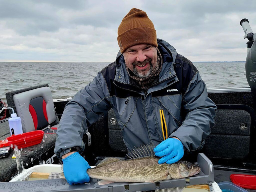 Why is Chris Vandergoot, director of the Great Lakes Acoustic Telemetry Observation System (GLATOS), putting acoustic tags on 355 Saginaw Bay walleye? Here's what he and his team hope to learn through this MISG-supported project: buff.ly/3xB8JlR @GLATOS_fish @eriefishdoc