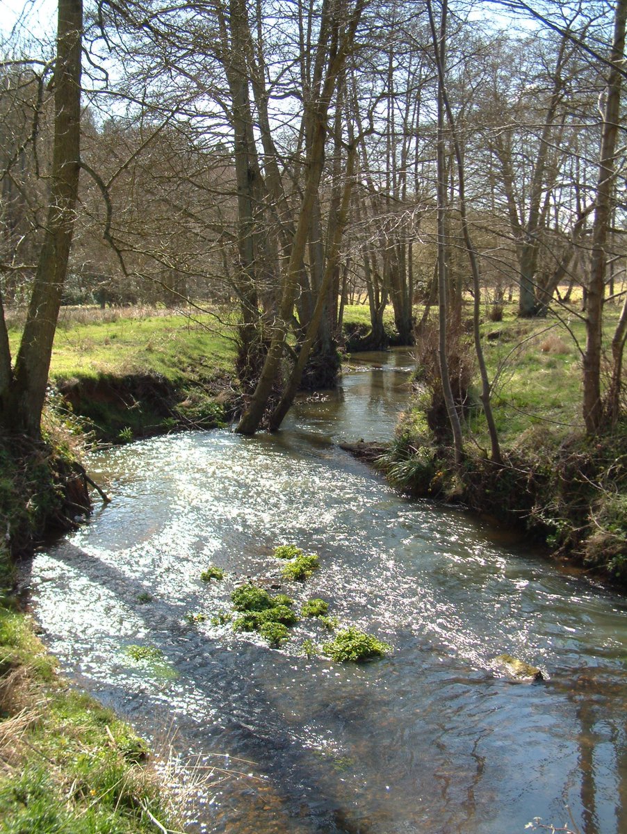 A fantastic opportunity to bring about landscape-scale change with Arun & Rother Rivers Trust. Working with stakeholders, the Rother Partnership Coordinator will play a key role in improving the health of the Rother. Applications close 22 April👉 arrt.org.uk/jobs/