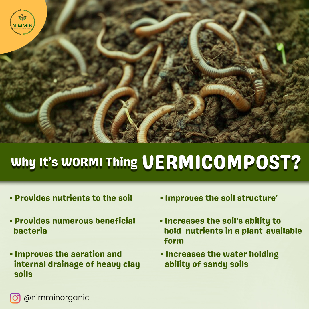 Worms aren't so bad after all!  Vermicompost is a nutrient-rich soil amendment created by composting with worms.  Here's why it's the perfect way to boost your plants' health.
#vermicomposting #gardening #composting #organicgardening #worms #healthysoil  #nimminorganic #itswormi