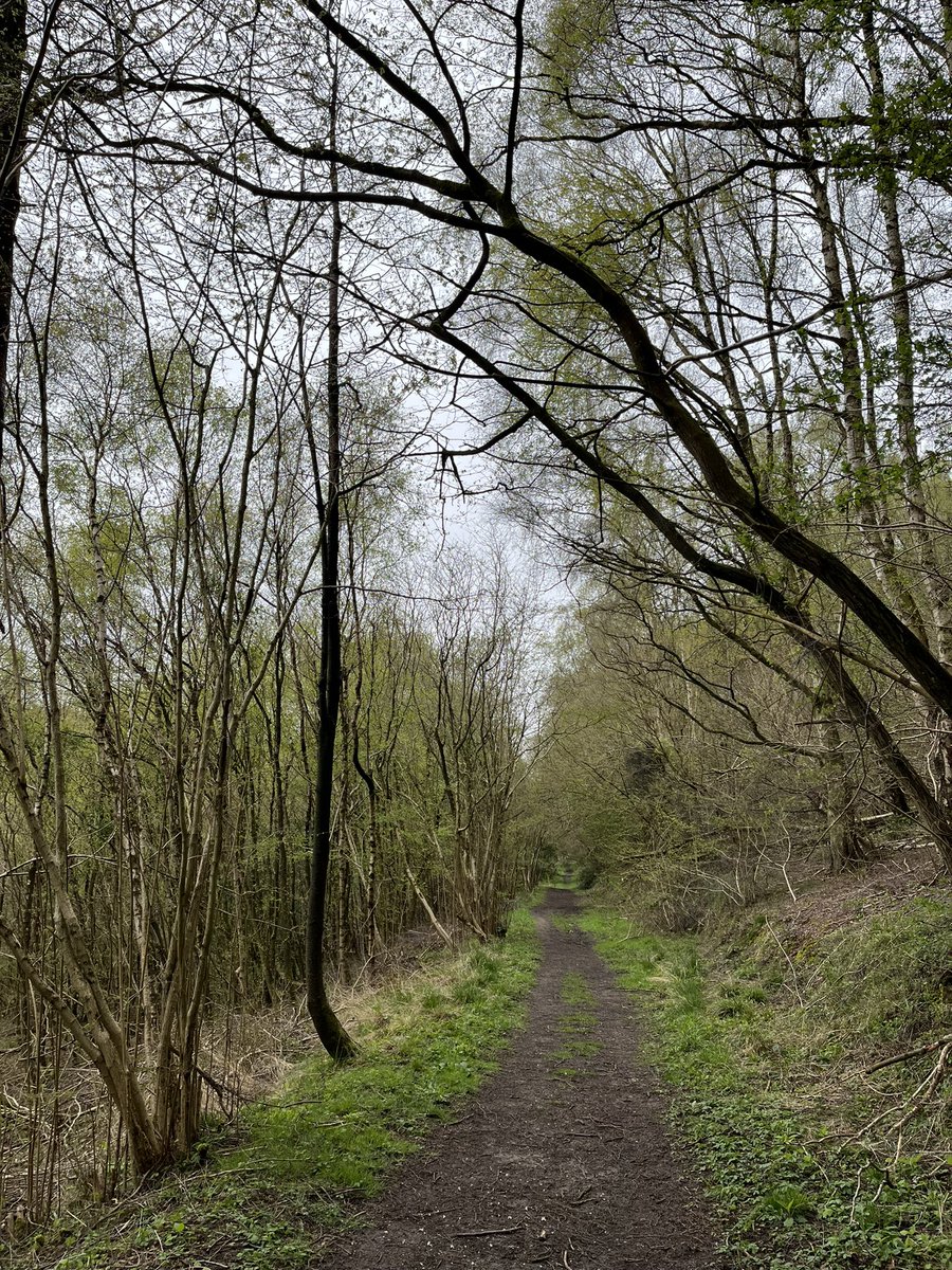 A lovely sunny(ish) loop in #ThorntonDale & @Dalby_Forest #NorthYorkshire listening to @RunComPod’s laugh-out-loud funny latest ‘Denied!’ episode - thanks for the 20-mile PB shout-out, ‘presented without bitterness’ by @PaulTonkinson 🤣, #trailrunning #ultramarathontraining