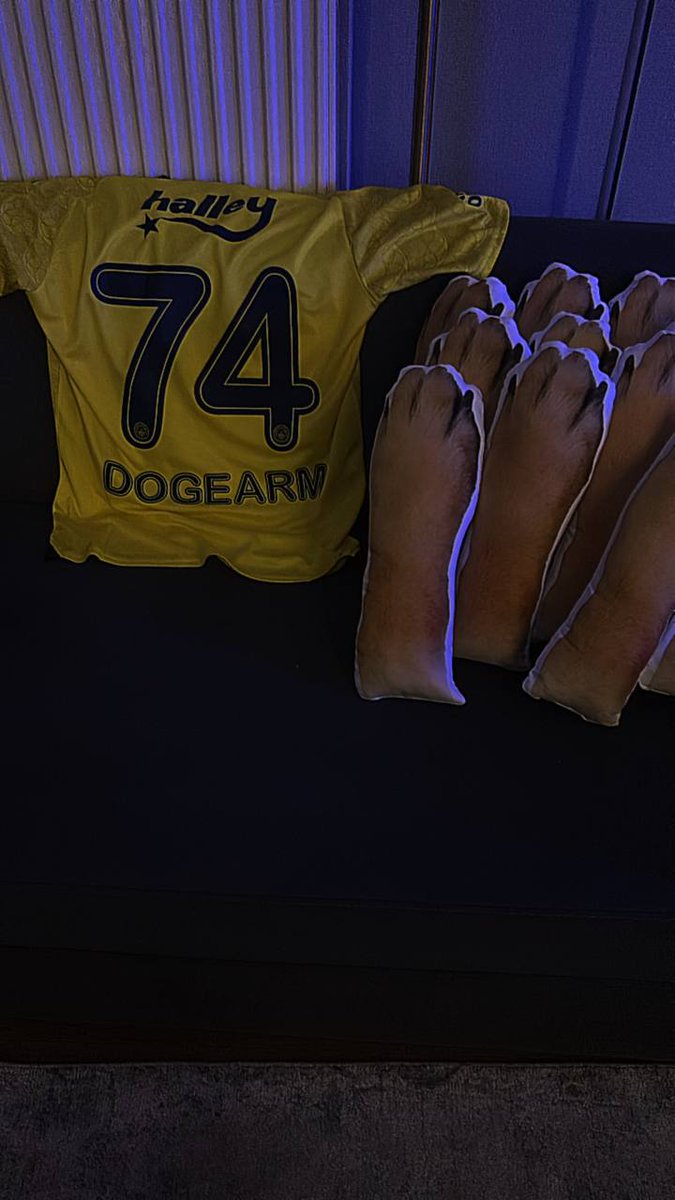 Portgas_D_Ace_x's tweet photo. @JakeGagain @JakeGagain your into low cap #memecoins?
Maybe #dogearm is your next #100xgem
Today big scandal on TV, keep your eyes on the @Fenerbahce
Vs @Olympiakos_eng match β½π
@FenerBahceTvim
https://t.co/DBJ3k1S9DX https://t.co/VbXe51Bd6w