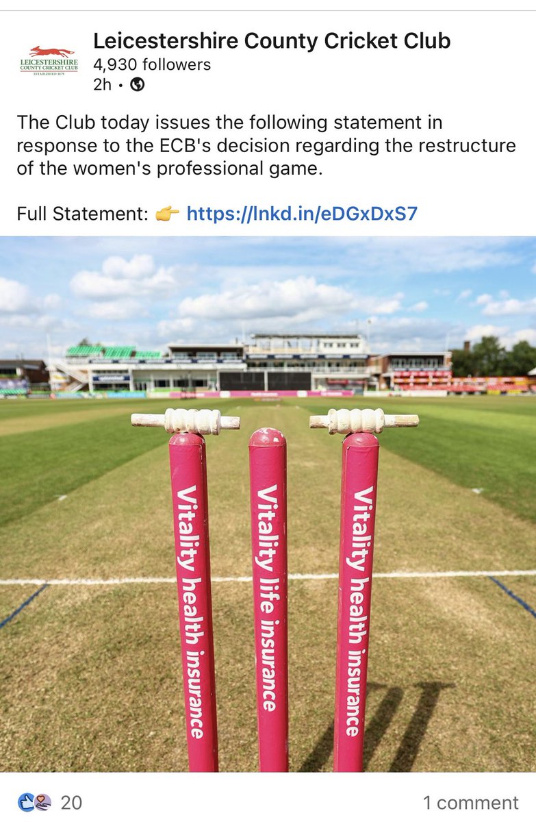 MrThomasScott's tweet photo. Cricket’s answer to the corner flag photo / club statement? @FootballCliches https://t.co/rE7HrFoM2G
