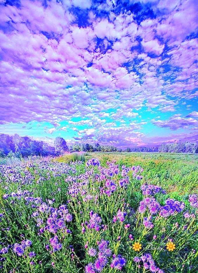Good afternoon 💜💙💜