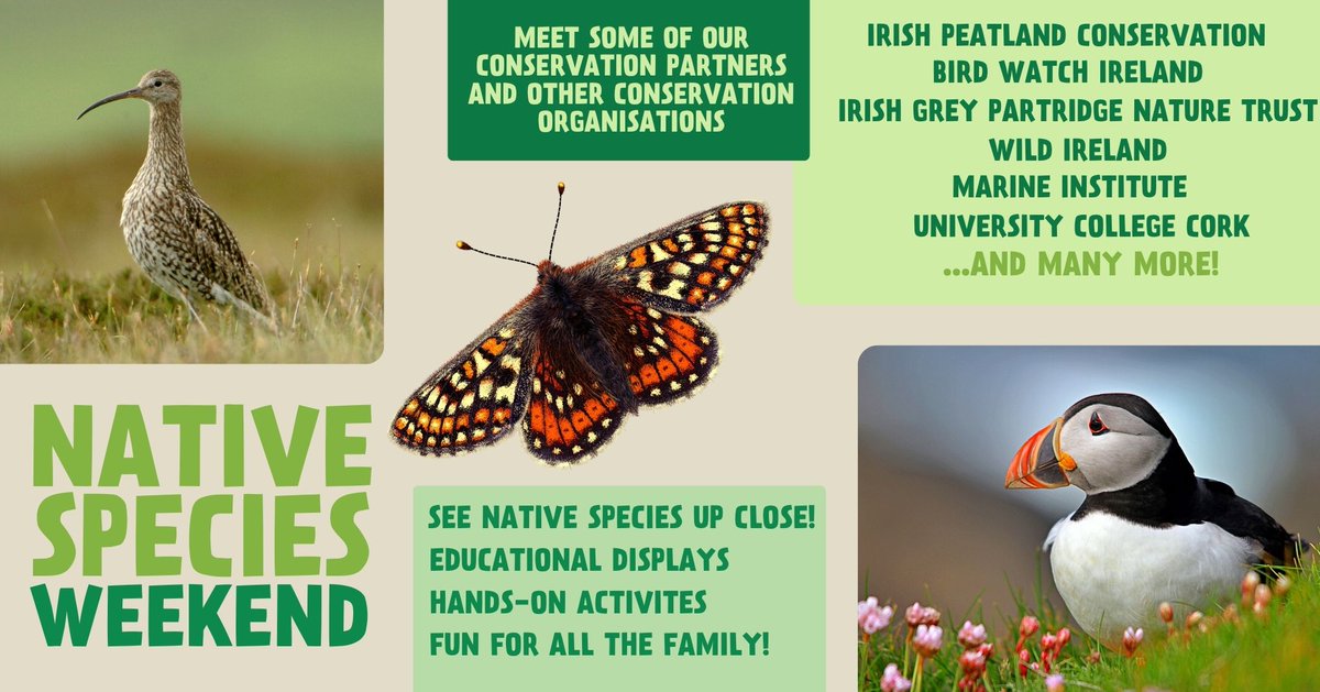 Mark your calendars for May 11th & 12th and immerse yourself in Dublin Zoo’s NATIVE SPECIES WEEKEND Taking place on the Great Lawn, visitors will have the opportunity to engage with some of Dublin Zoo’s Irish Conservation Partners, as well as other conservation organisations🍃