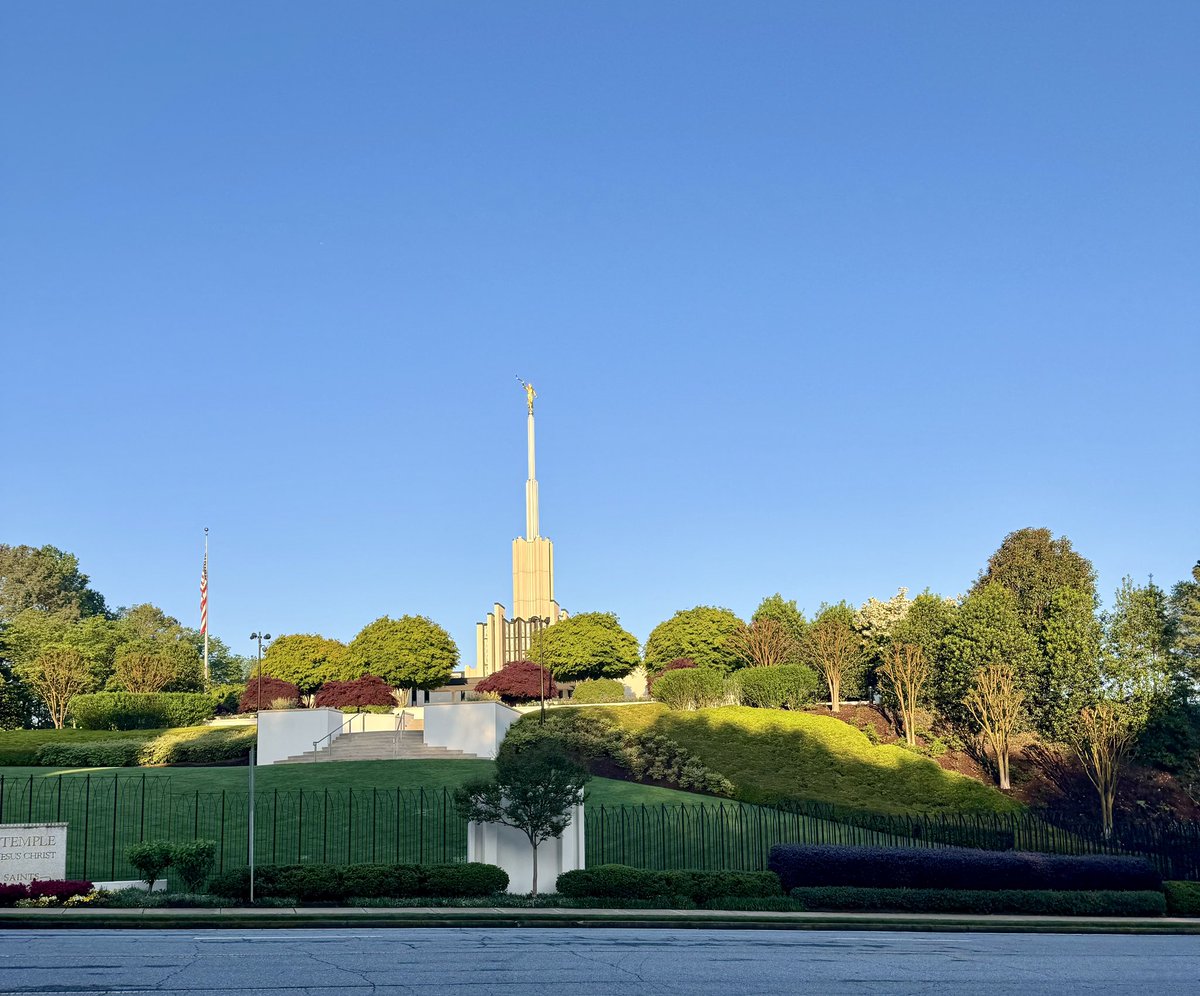 Project Hail Stevie tweet media