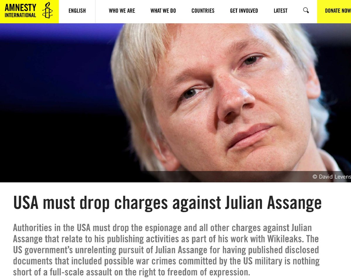 8. Human Rights organisations around the world agree. 'Publishing information that is in the public interest is a cornerstone of media freedom. It’s also protected under international human rights law and should not be criminalized...The US government’s unrelenting pursuit of