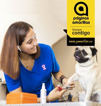 Haz que tu negocio llegue a todos con Páginas Amarillas
pamarillas.cu te ofrece la posibilidad de promocionar     tu negocio en diferentes formatos.#EtecsaTeAcompaña, #HolguínSi