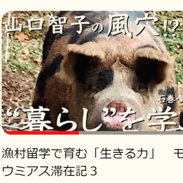 tachibana87's tweet photo. 【女優・山口智子さんのYouTube番組】
モリウミアス・雄勝町編　シリーズ全9話
第3話 暮らしを学ぶ　ロケ地＠雄勝町・MORIUMIUS
#MORIUMIUS #モリウミアス #石巻市雄勝町 #山口智子の風穴 #youtube #風穴 出演：#山口智子 #MORIUMIUSスタッフ #石巻市雄勝町のみなさん https://t.co/U9PWBQohMt