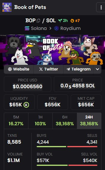 BookofpetsSol_'s tweet photo. 🦅 1.1M volume and #7 place in DexScreener trends already in just 3 hours after launch! https://t.co/uZKyqtd6Wd