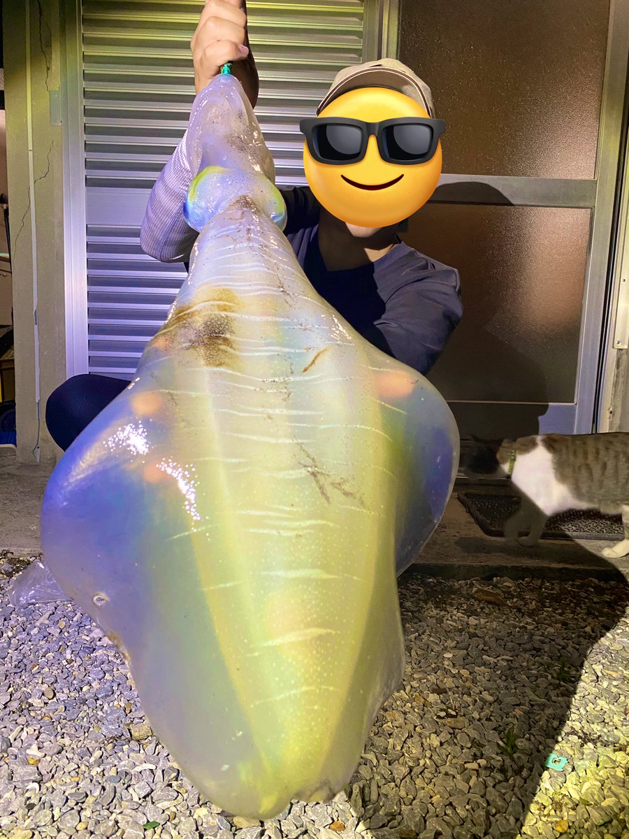 cit_fh's tweet photo. OKきたよ‼️ 3キロ❗️
今年はダメかと思った〜💦
最高👍 https://t.co/kkq12mMHoc