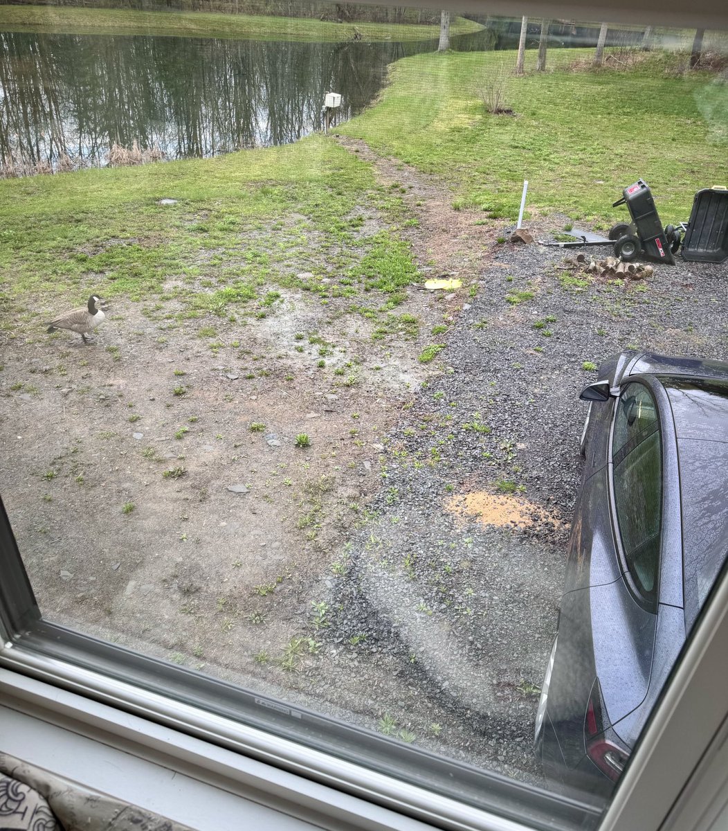 Frank keeps having words with Dad’s car. He was strongly advised to walk away.