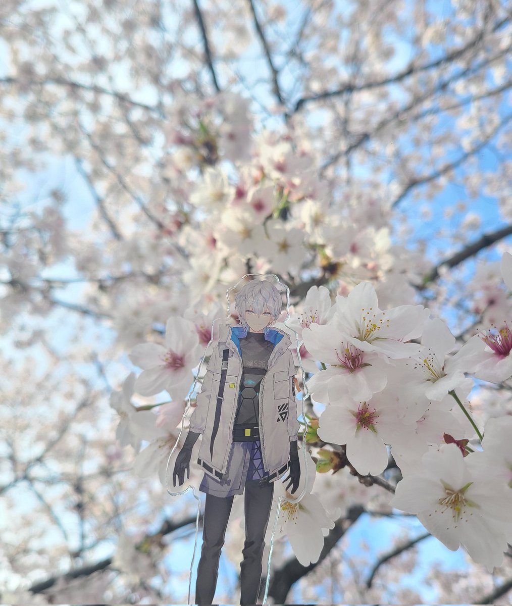 ryul_v's tweet photo. #涼架のメモ
おひさーげんきにしてた？
その間会社で昇進もして彼氏もできたの^^🤗
この前お花見したから写真おいとく！🌸 https://t.co/HVk3H6Cy4Q