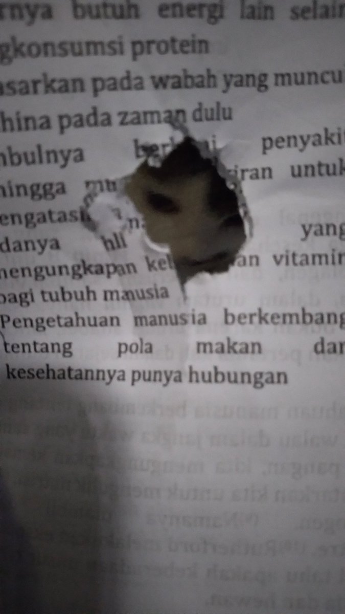 awanakbaik's tweet photo. digigit dipinggir sudah biasa, tapi pernah gak si ditengah soal sampe bolong begini bziieerrttt https://t.co/EebiYDK6sb