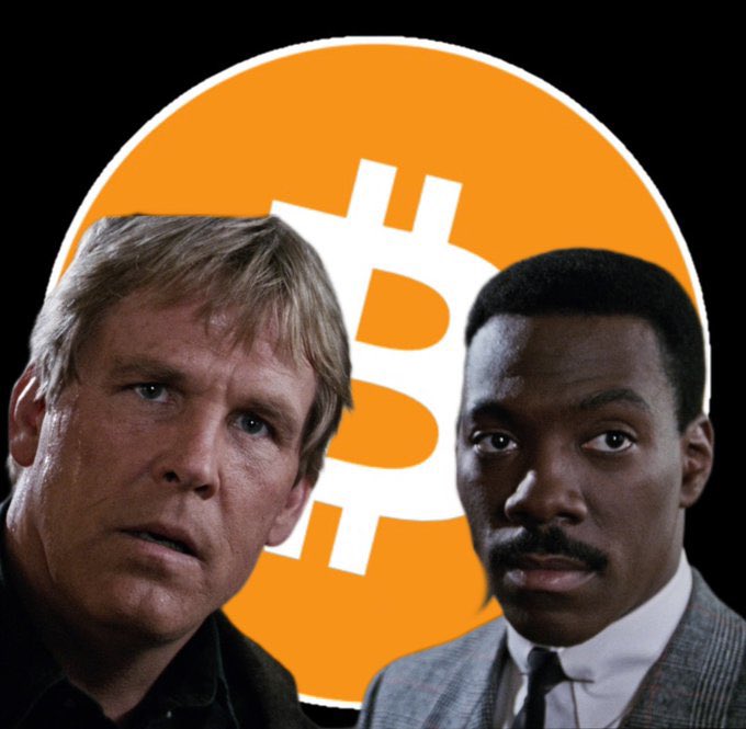 BitRebel tweet media