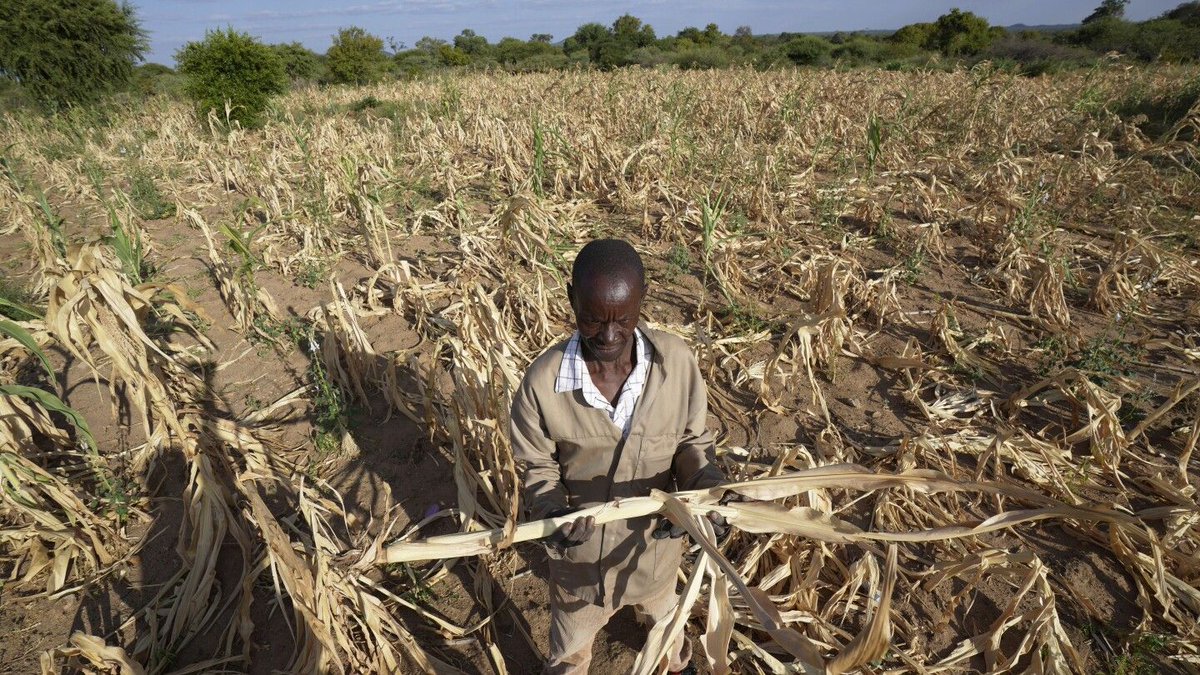 Zimbabwe has declared a state of disaster over a drought that has left over more than 2.5 million people facing hunger. It becomes the third country in southern Africa - after Zambia and Malawi - to declare an emergency: buff.ly/3VZ6Idc No time to wait. #ActOnClimate