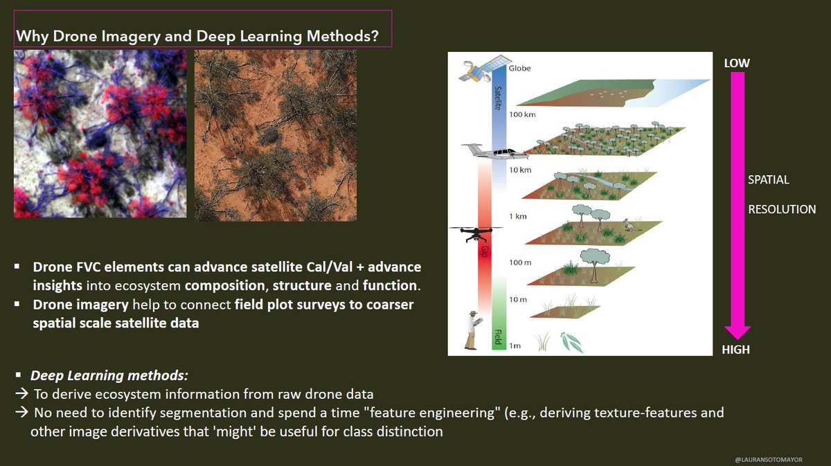 LauraNSotomayor🤠🦇 tweet media
