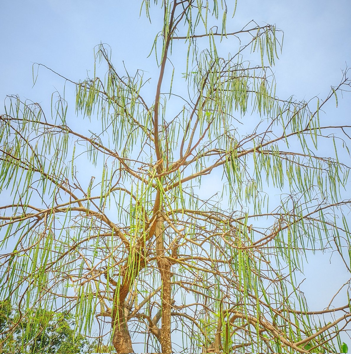 Let's Go $RICY 
<a href="/ricyofficial/">ricy</a> 
Participant The event
@SenderLabs Lets farming $BEYOND <a href="/PlayGroundCorp/">PlayGround</a> ,   $PARAM <a href="/ParamLaboratory/">Param Labs</a>,   Earn More $PIXIZ or <a href="/Pixiz_io/">Pixiz</a> @Explore <a href="/playsomo/">SOMO</a> Join Project $SOMO  <a href="/PublicAi_/">PublicAI</a>  🔥 <a href="/Forge/">Forge</a> #Forge
<a href="/ShardsOfficial/">Shards Protocol ⚡️</a>  $SHARDS $XTER #BTCHalving #BTC