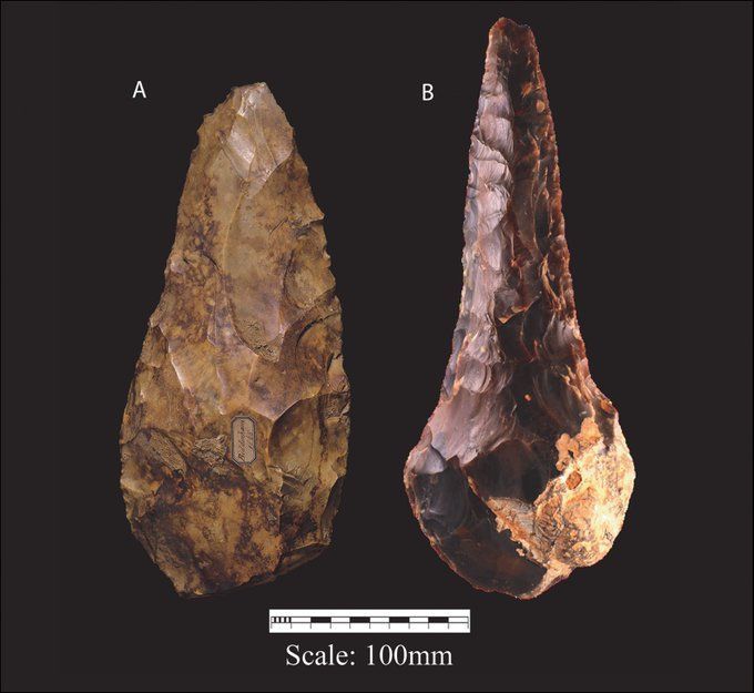 Dating of giant handaxes from Britain finds they predominantly date to Marine Isotope Stage 9. Could they be a sign of changing hominin cognition during the Lower-Middle Palaeolithic transition? 🆓 buff.ly/43Dcrav