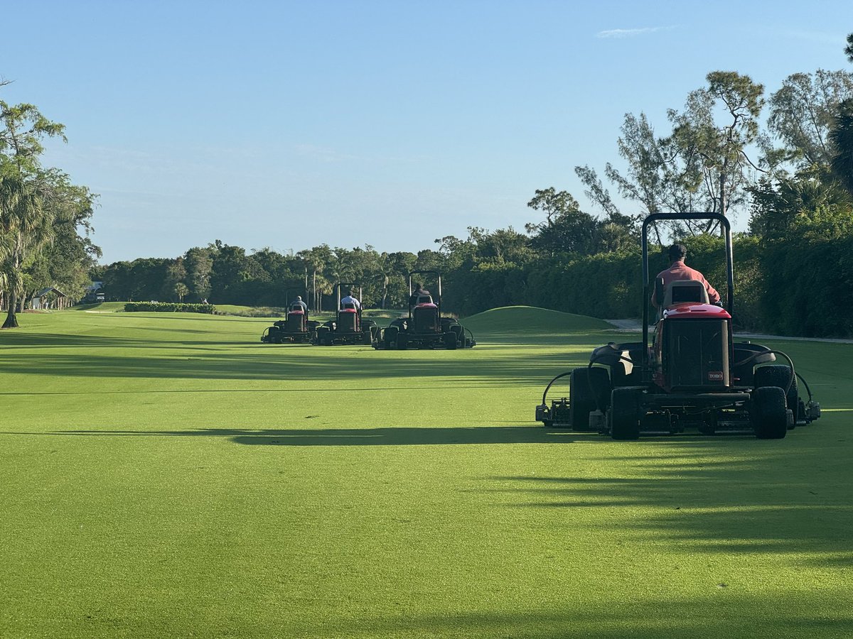 Fairways - Masters style today