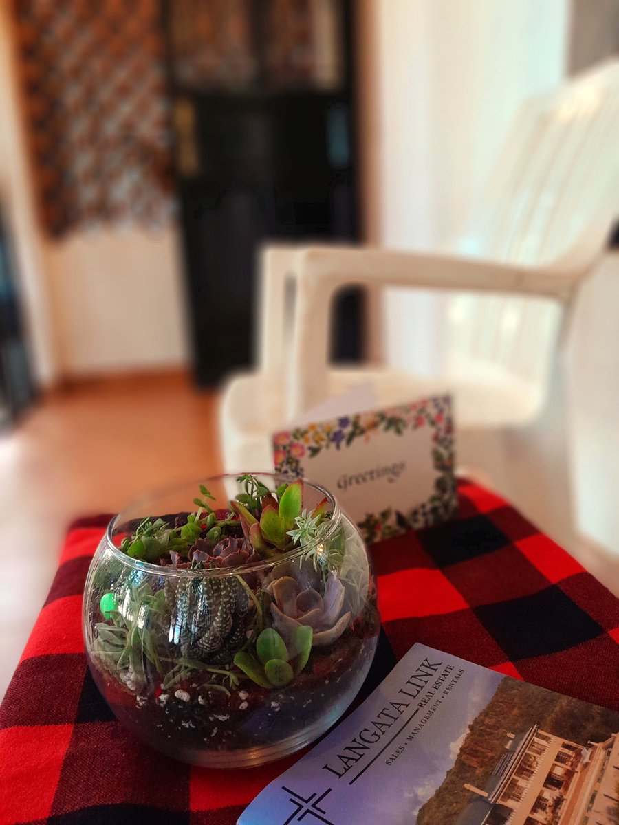 A terrarium balcony vibe  

We Made at the @planty_kenya  workshop Experience. #hostellife  #solotravel  #MiniEarth