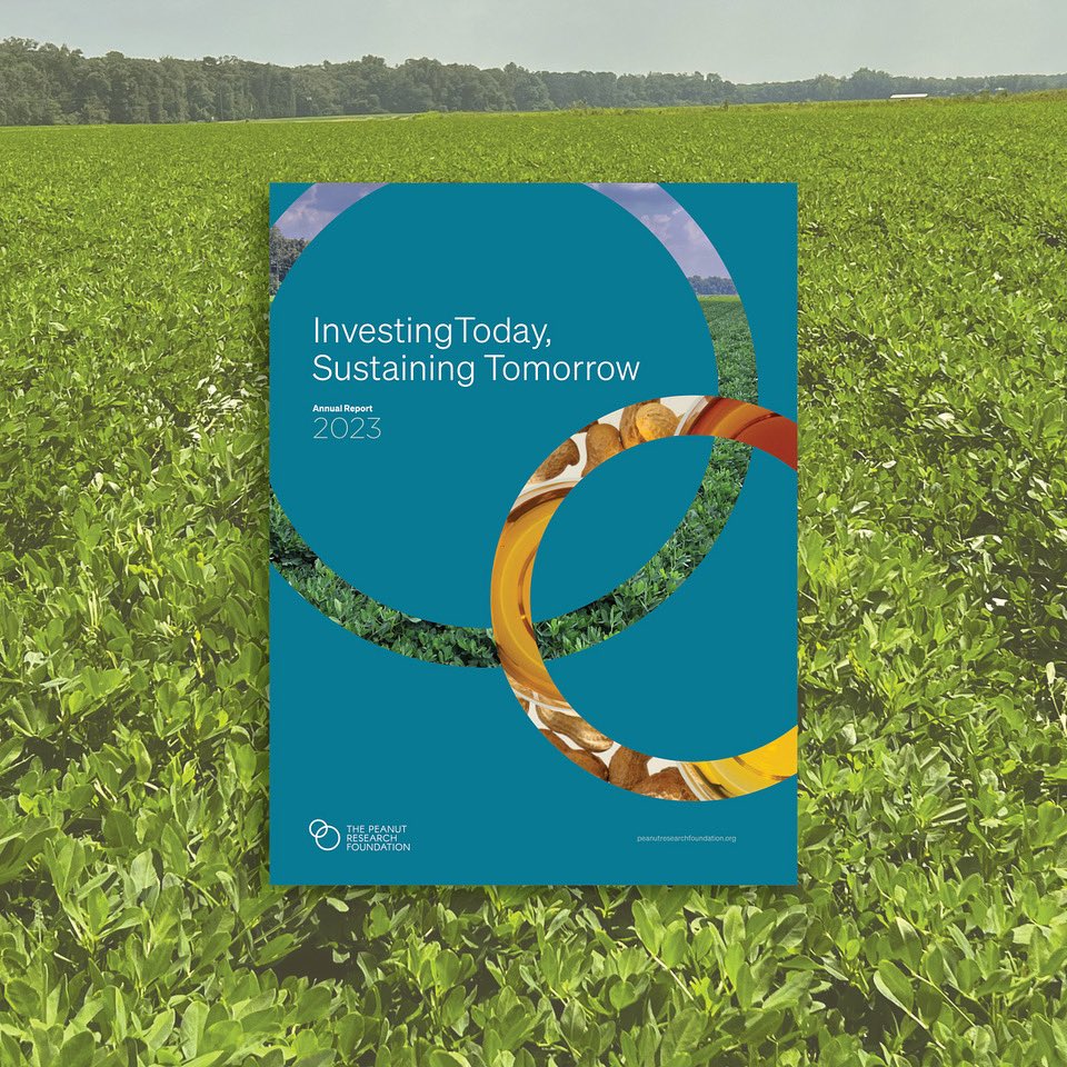 The #Peanut #Research Foundation has published its 2023 annual report. Leaf spot resistance, marker-assisted selection &amp; other innovative research endeavors make up the 15 impactful projects from 2023. Check out last year’s remarkable achievements. bit.ly/4dg4vk3