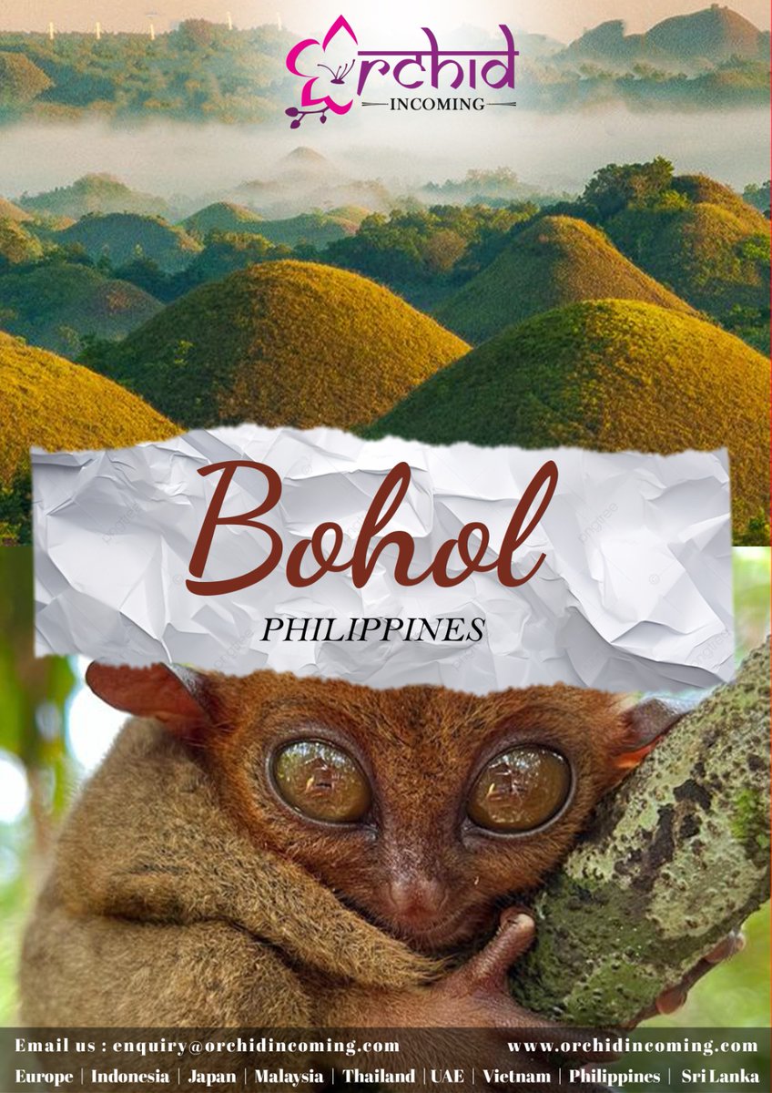 Bohol: Where Nature Paints Its Masterpiece. To know more email us enquiry@orchidincoming.com 

#orchidincoming #orchidonline #philippinestravel #Philippines #bohol #naturelovers #Adventure #tour #explore #wildlife #TravelGoals