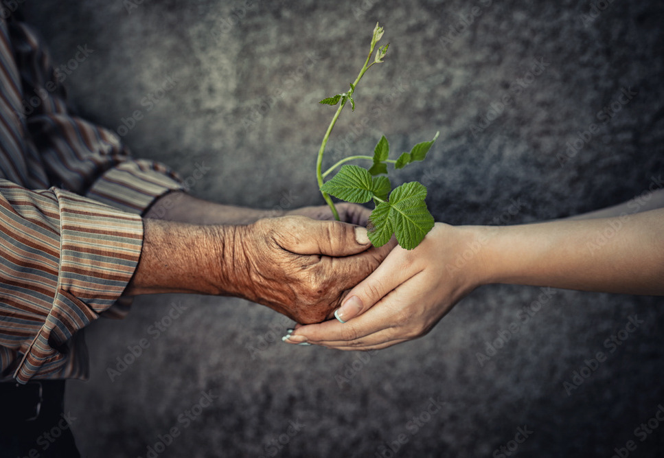 Generations of wisdom in the palm of your hands 🌱 Build a legacy at ExpansiveConcepts.Info. #GenerationalWisdom #GenerationalWealth #FamilyFirst #WealthManagement #MultiplyWealth #RetirementGoals #BusinessMastery #EntrepreneurMindset #EstateStrategies #Bankruptcy #Wisdom