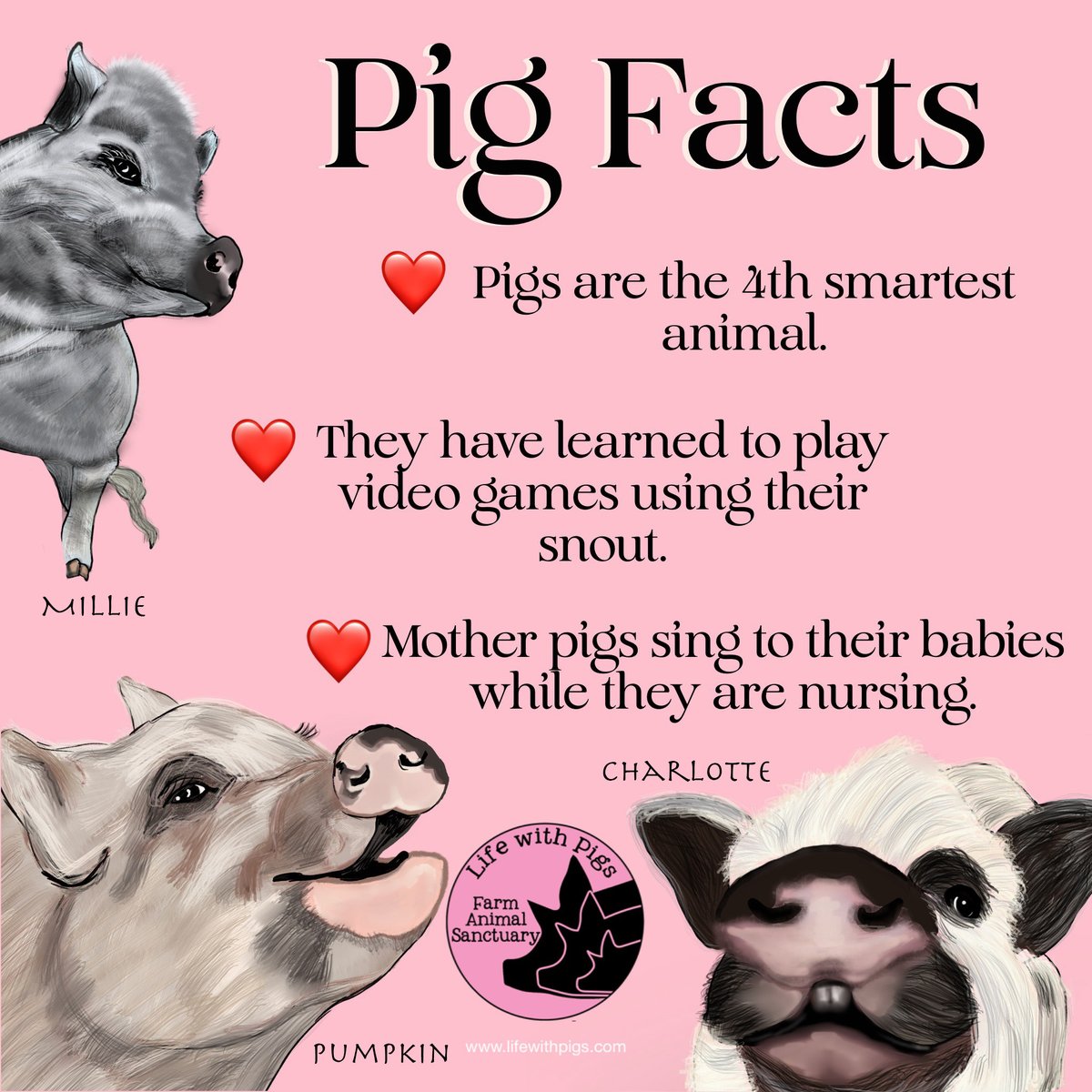 Millie, Pumpkin, and Charlotte wanted to share their favorite Pig Facts with you to start your day!

#pig #pigs #lifewithpigs #pigfacts