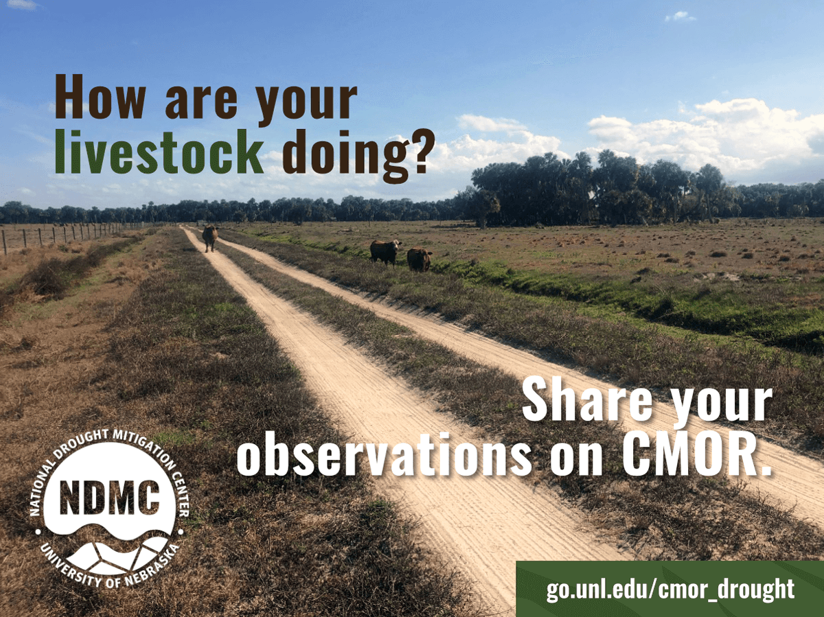 @usdafsa @NOAANCEI @FarmersGov @NOAAClimate Share updates on livestock (and much more) to CMOR, one of the resources drought monitor authors use to assess conditions and impacts. go.unl.edu/cmor_drought

#droughtmonitor #drought #drought2024 #climate #science #data #maps #citizenscience #photos #UnitedStates #USA #US